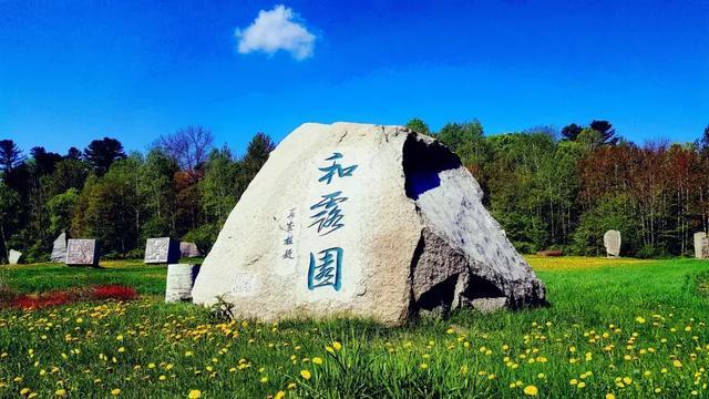双人坦克世界3D